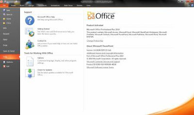 Microsoft Office Professional Plus 2010