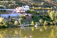 Café Portugal - PASSEIO DE JORNALISTAS em Alijó - Subida do Douro