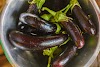 Eggplants in olive oil and citrus juice