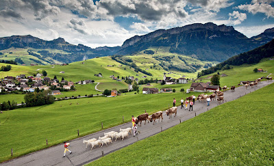 Camino a la granja en Suiza - Road to the farm in Switzerland