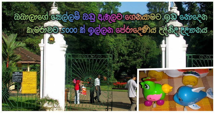 https://www.gossiplankanews.com/2018/09/5000-peradeniya-garden.html#more