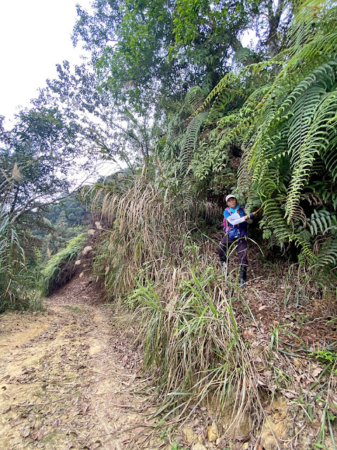 樟湖山登山口