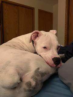 Photo (c)2021 Shannon G. Wamsley