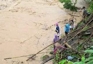 damaged thousands of houses and thousands of hectares of crops