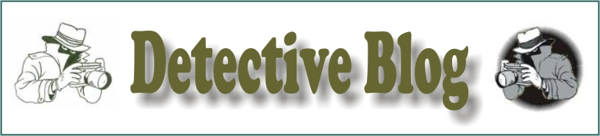 Detetive Particular - Blog