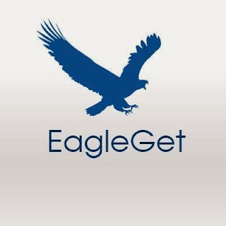 EagleGet 2.0.4.6-cover