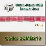 2CMB210 copy