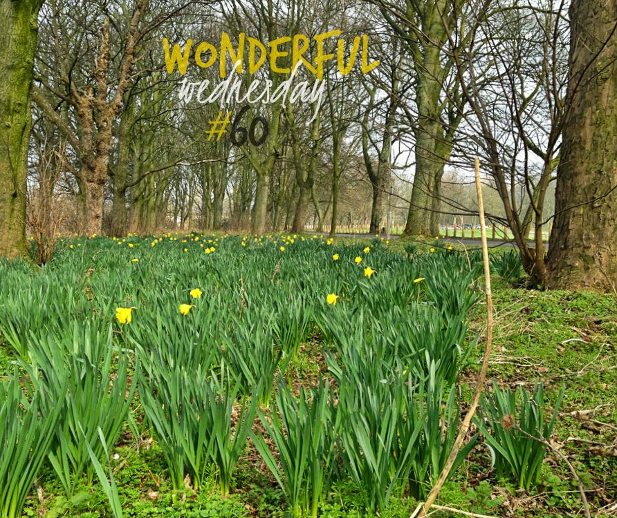 Wonderful Wednesday #60