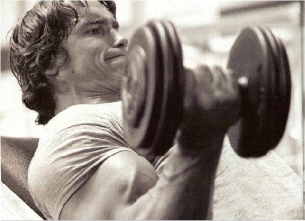 arnold schwarzenegger bodybuilding wallpaper. Arnold+schwarzenegger+