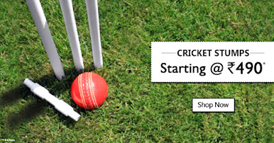 USI Cricket Stumps