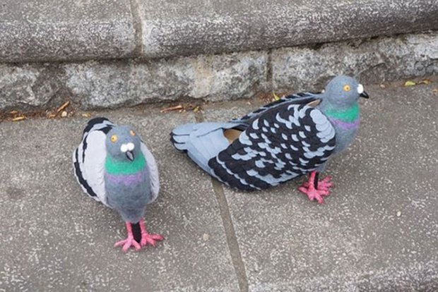 Bird lover created pigeon-shaped shoes to stop scaring them