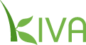  Click on Kiva logo for more information