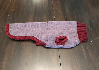 Dog sweater done in Burrow Worsted