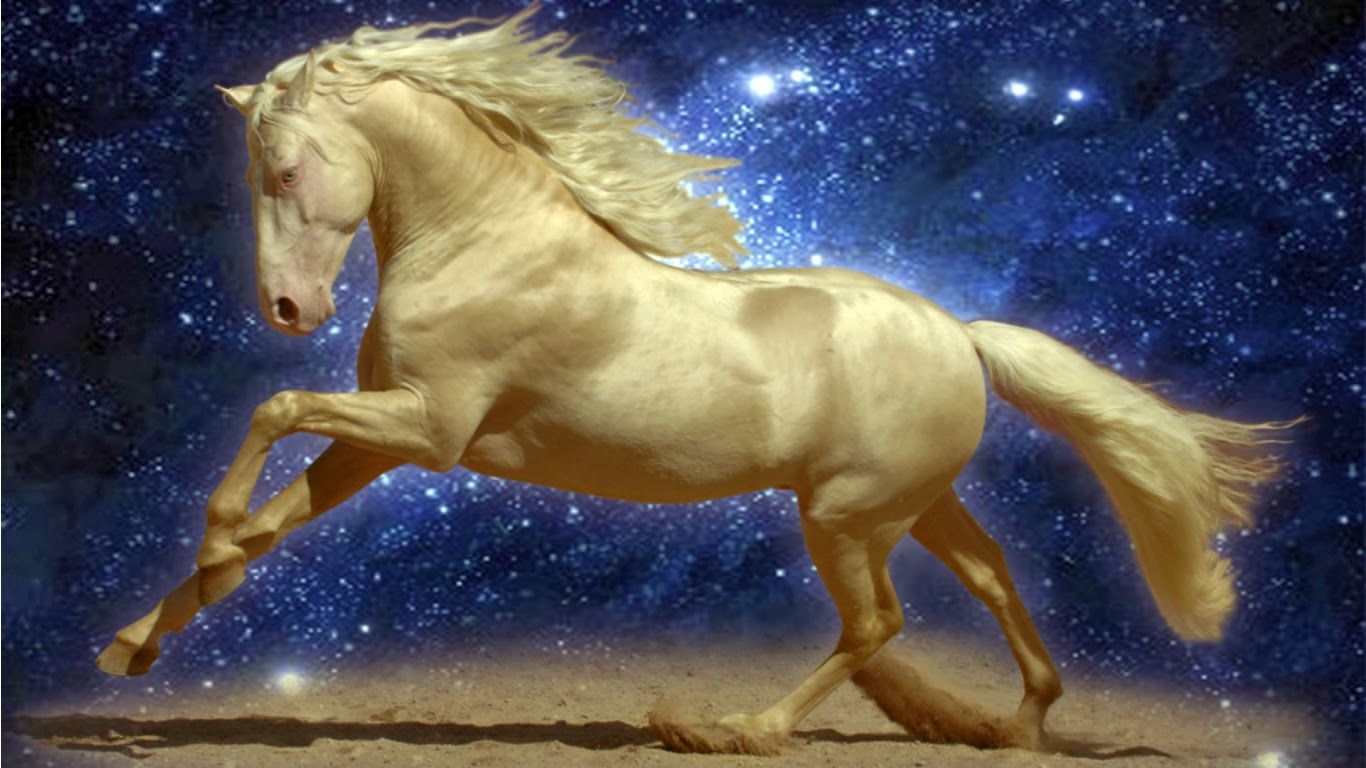 All new wallpaper  HD  wallpapers  desktop horse  free 