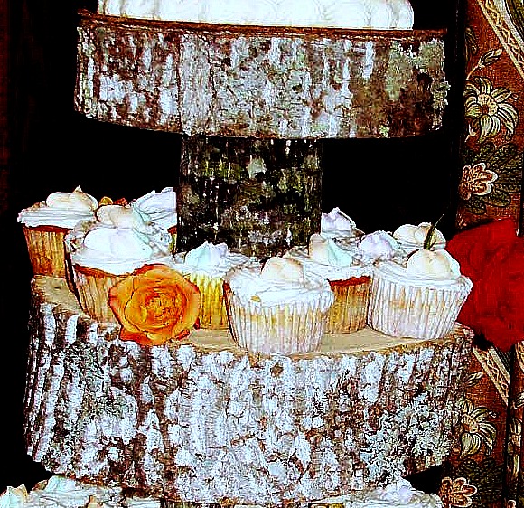 Guest Project Throw a Rustic Wedding make a DIY Tree Cupcake Stand 