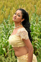 Sri, devika, hot, breast, and, navel, show