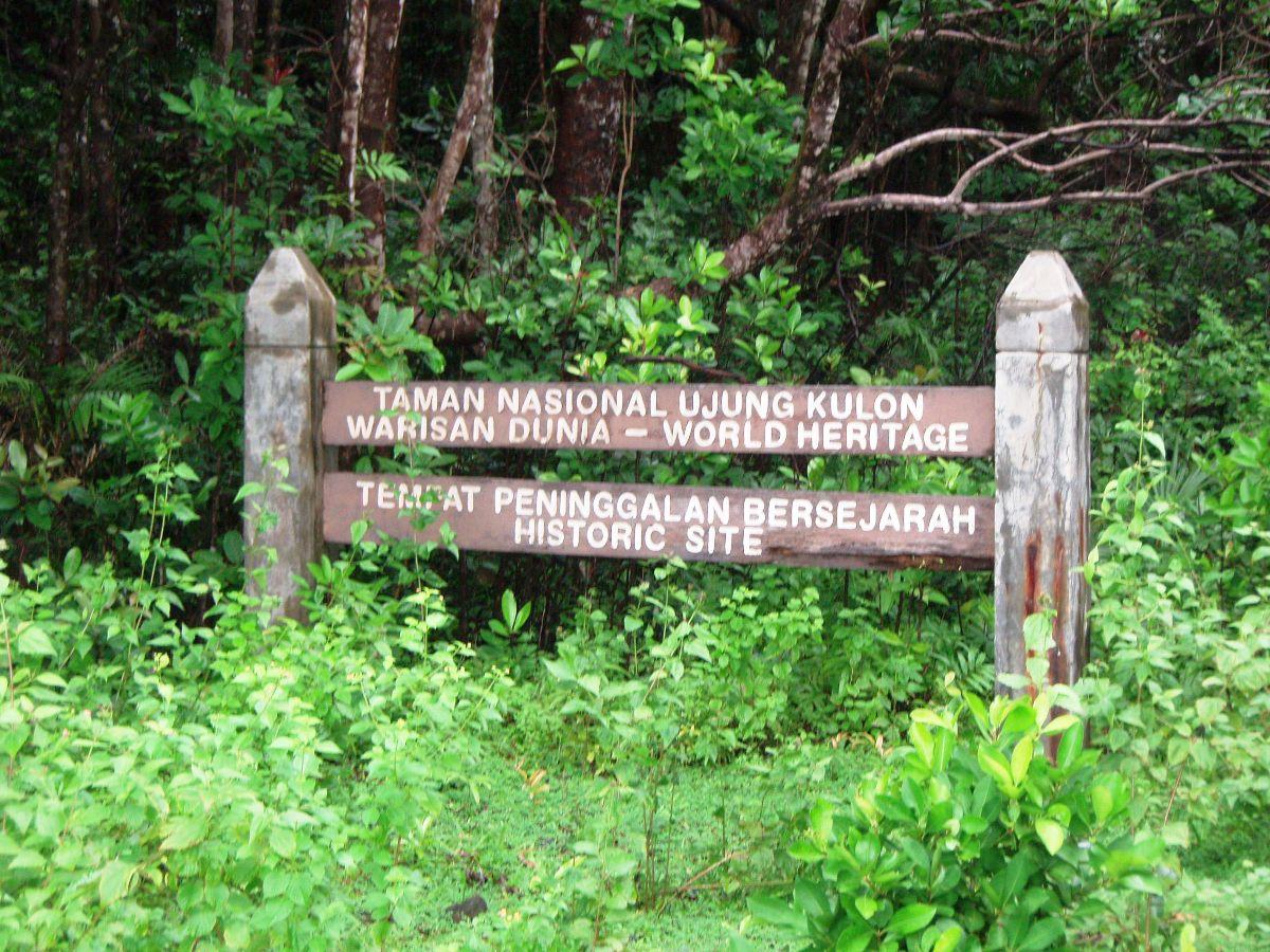  Taman  Nasional  Ujung  Kulon  Travelz mania