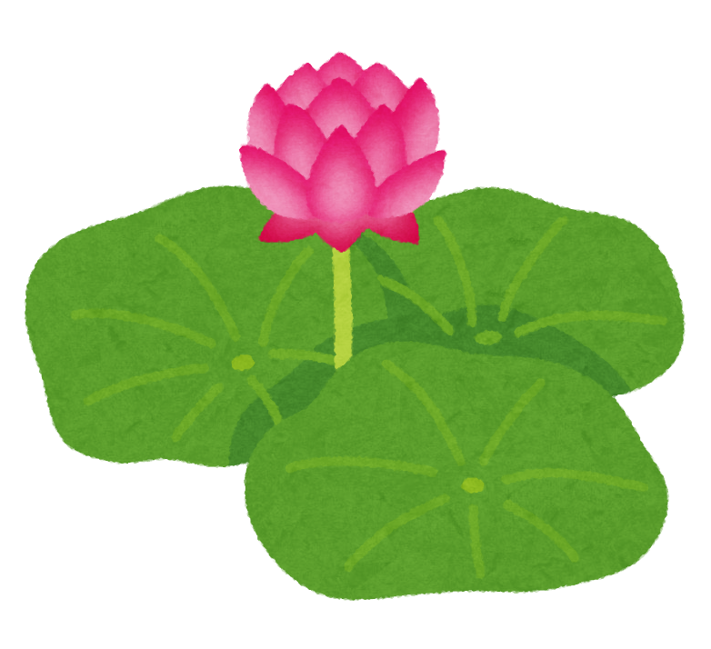 蓮の花のイラスト かわいいフリー素材集 いらすとや 蓮の花のイラスト かわいいフリー素材集 いらすとや