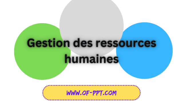 Gestion des ressources humaines