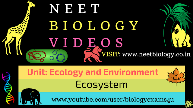 NEET Biology MCQ - Ecology and Environment