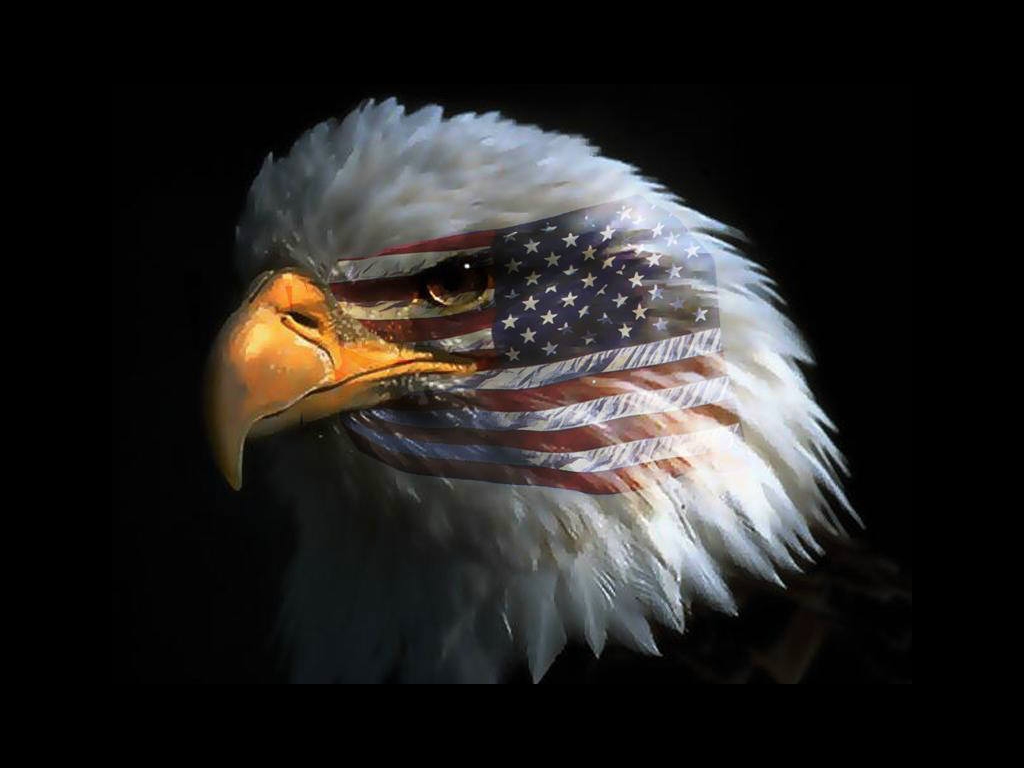 American Flag Eagle : Patriotism and Heroism