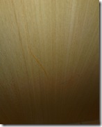 20090102377