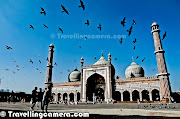 Domestic Airlines like Go Air and Indigo Airlines are quite encouraging for . (pigeon studded sky around jama masjid by vijay kumar sharma vj travellingcamera)