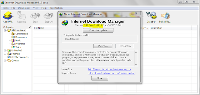 IDM 6.12 Build 17 Beta Screenshot