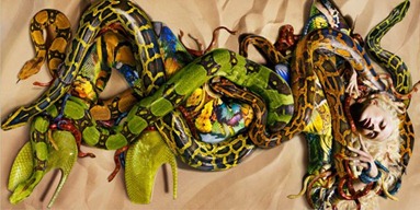 McQueen Snake Shoes