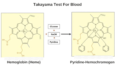 Takayama Test