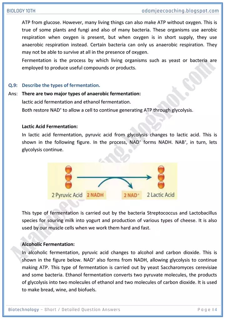 biotechnology-short-and-detailed-answer-questions-biology-10th