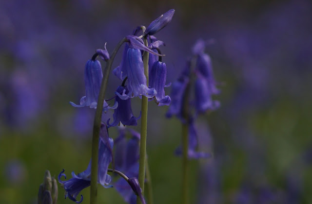 Best UK photography blog Norfolk countryside Vuelio media