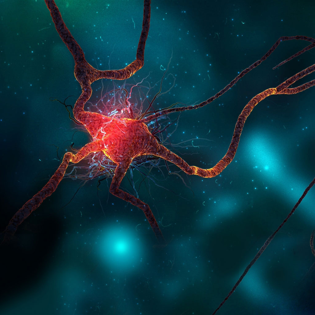 iPad 4 Wallpaper - Neuron - HD Wallpapers - 9to5Wallpapers