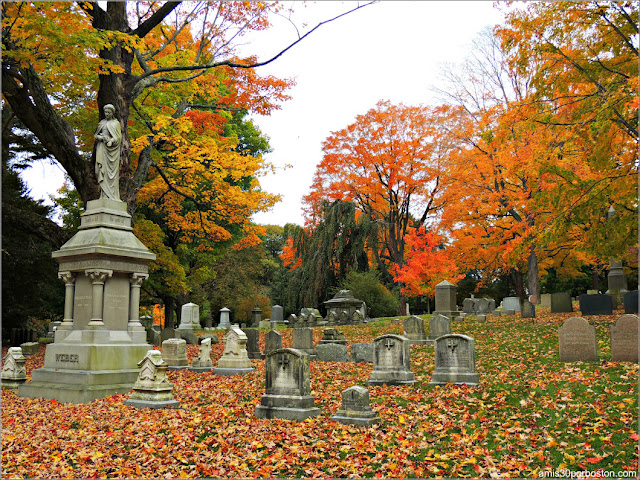 Mount Auburn Cemetery en Cambridge