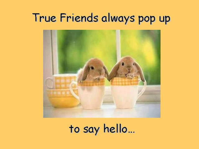 HAPPY FRIENDSHIP DAY FROM SUDESH DJV, Happy Friendship day Poem, Best Friendship day videos, Best Friendship day images, Friendship day photos, friendship day date, friendship day images, best poem on friendship day, friendship day wishes, friendship day quotes