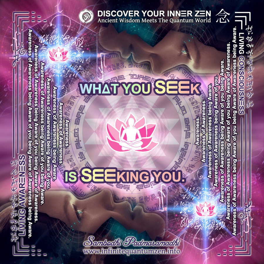 What You Seek Is Seeking You, Inspiration Vibration - Infinite Quantum Zen, Success Life Quotes