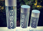 FREE VOSS Water (FIRST 25,000)