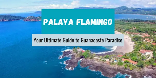 Discover the Beauty of playa Flamingo, Costa Rica: Your Ultimate Guide to Guanacaste Paradise
