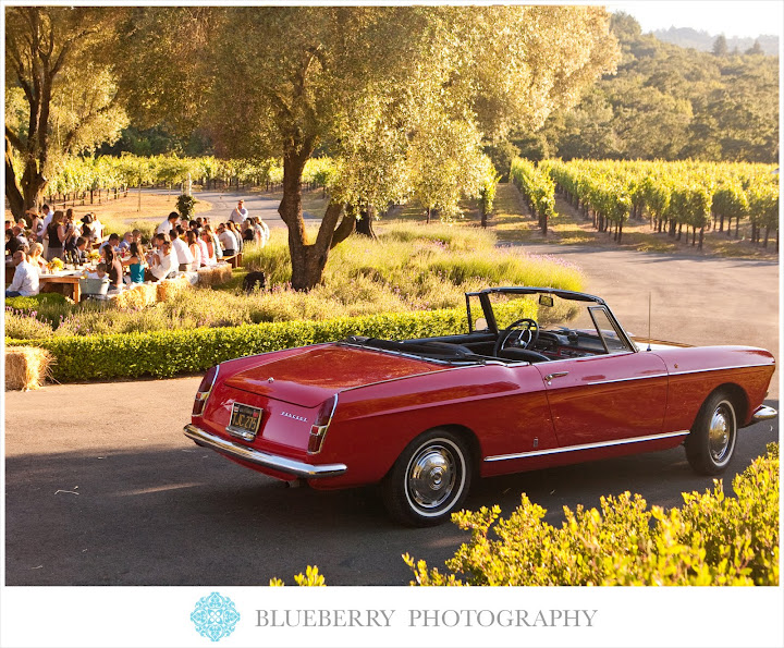 Sonoma Vineyard Country Western Theme Wedding Photography Private Vineyard 