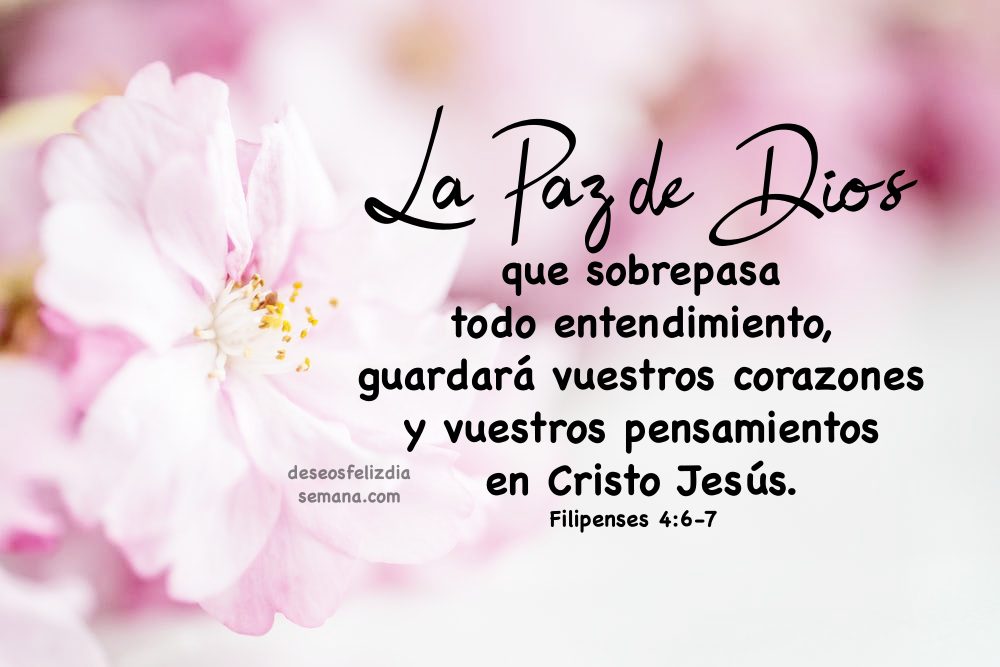 Frases De Bendiciones Y Buenos Dias Con Imagenes Imagenes Y Deseos Feliz Dia De Semana Frases De Bendiciones Y Buenos Dias Con Imagenes Imagenes Y Deseos Feliz Dia De Semana