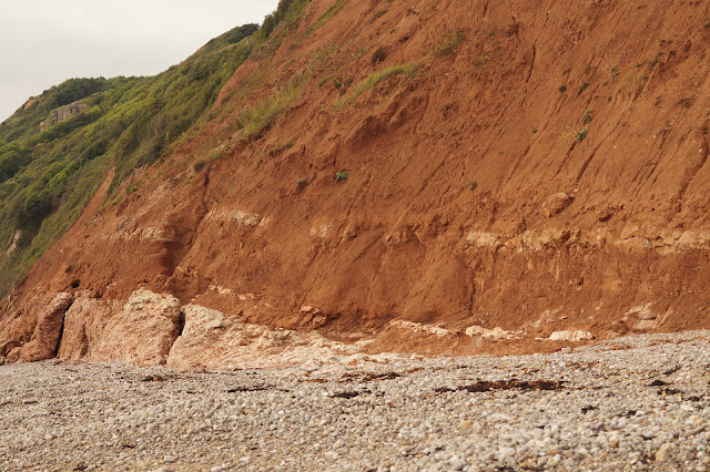 fossil hunting on the Jurassic Coast Branscombe