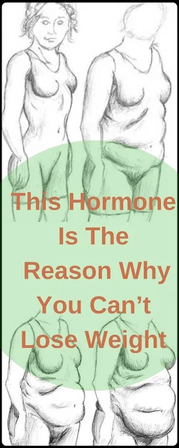 This Hormone Is The Reason Why You Can’t Lose Weight – Here Is How To Fix This Problem!