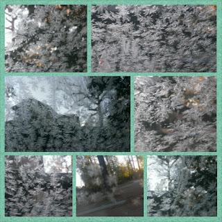 frozen collage