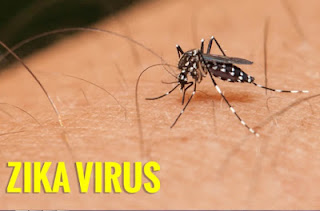 Phòng tránh bệnh từ viruts zika