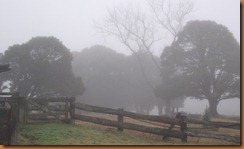 Dorigo 2011-07-01 011
