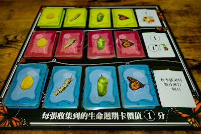 Mariposas蝶旅花香,生命週期卡放置主板上