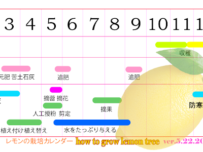 レモンの剪定 動画 995947-レモンの剪定 動画