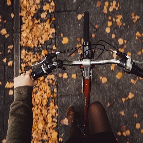 fall 2018 bucketlist bike fall leaves