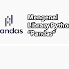 Mengenal Library Python Pandas dan Contoh Penggunaannya