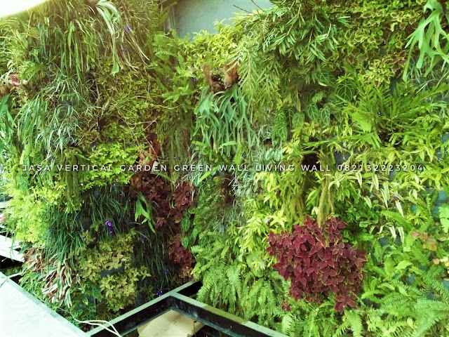 32 Gambar Desain Taman Vertikal (Vertical Garden). Taman Vertikal (tentang-tanaman) di ketahui sebagai vertical garden atau mungkin green wall living wall, Temukan gambar vertikal garden dinding hijau contoh taman vertical garden berkualitas tinggi, Cari dari 32 gambar Taman Vertikal teratas dan tidak akan anda temukan foto stok berkualitas tinggi yang tidak akan anda temukan di tempat lain, roof garden murah, roof garden design, roof garden minimalis, roof garden sederhana, roof garden detail, roof garden medan, roof garden semarang, drainasecell roof garden, versicel roof garden, roof garden indonesia, roof garden jakarta, roof garden system, roof garden, roof garden adalah, drainasecell, versicell, alat roof garden, cara membuat roof garden, peralatan roof garden, roof top, top roof garden, taman dak atas, cara membuat taman dak, taman atap roof garden, taman roof garden, roof garden apartment, tukang taman vertikal, vertikal garden murah, vertikal garden sederhana, vertikal garden jakarta, tukang taman vertical, vertical garden murah, vertical garden sederhana, vertical garden jakarta, tukang taman vertikal di cibubur, tukang taman vertikal bintaro, tukang taman vertikal tangerang, tukang taman vertikal jakarta, tukang taman vertikal serpong, tukang taman vertikal jakarta , tukang taman vertikal bekasi, tukang taman vertikal di bintaro, tukang taman vertikal semarang, tukang taman vertikal pekalongan, tukang taman vertikal batang, tukang, taman vertikal cirebon, tukang taman vertikal karawang, tukang taman vertikal surabaya, tukang taman vertikal solo, tukang taman vertikal yogyakarta, tukang taman vertikal bali, tukang taman vertikal medan, tukang taman vertikal batam, tukang taman vertikal jakarta timur, tukang taman vertikal jakarta pusat, tukang taman vertikal jakarta selatan, tukang taman vertikal jakarta barat, tukang taman vertikal jakarta utara, tukang taman vertikal tangerang, tukang taman vertikal serpong, tukang taman vertikal perumahan, tukang taman vertikal murah, tukang taman vertikal kalimantan, tukang taman vertikal makssar, tukang taman vertikal papua, tukang taman vertikal lombok tukang taman murah di bogor, tukang taman cibubur murah, tukang taman murah di cibubur, tukang taman murah bintaro, tukang taman murah tangerang, tukang taman murah jakarta, tukang taman murah serpong, tukang taman murah jakarta , tukang taman murah bekasi, tukang taman murah di bintaro, tukang taman murah di bogor, tukang taman cibubur murah, jasa tukang taman murah, tukang taman murah meriah, tukang taman minimalis murah, tukang rumput taman murah,tukang taman minimalis tangerang, tukang taman minimalis jakarta, tukang taman rumah minimalis, tukang taman minimalistaman vertikal sederhana, taman vertikal paralon, taman vertikal jakarta, taman vertikal pdf, taman vertikal dari botol bekas, taman vertikal murah, taman vertikal rumah minimalis, taman vertikal adalah, taman vertikal dalam rumah, taman vertikal, taman vertikal minimalis, taman vertikal anggrek, taman vertikal botol, taman vertikal di bandung, taman vertikal menggunakan botol bekas, taman vertikal dari batu bata, biaya taman vertikal, buat taman vertikal, contoh taman vertikal, cara taman vertikal, contoh taman vertikal garden, taman vertikal di rumah, taman vertikal di lahan sempit, taman vertikal di dinding, taman vertikal dinding, taman vertikal dengan paralon, taman vertikal depok, fungsi taman vertikal, foto taman vertikal, taman vertikal garden, taman gantung vertikal, gambar taman vertikal minimalis, cara membuat taman vertikal garden, gambar taman vertikal, griya taman vertikal, desain taman vertikal garden, taman vertikal hidroponik, taman vertikal harga, harga taman vertikal murah, taman vertikal indonesia, taman vertikal indoor taman vertikal italia, ide taman vertikal, vertical gardens, vertical gardening, wall garden, green wall, vertical gardening systems, wall planter, indoor vertical planter, planter, wall planters, green walls, greenwall, garden walls, plant wall, wall planters indoor, wall planters for outdoors, vertical blinds, vertical line, vertical farming, vertical integration, vertical angles, vertical radiators, vertical meaning, define vertical,